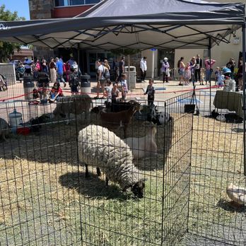 Cambrian Branch Library - Petting zoo event - Libraries Near Me - San Jose, California