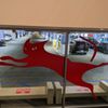 REDCAT gift card