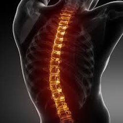 Neuromechanical Pain Management Associates