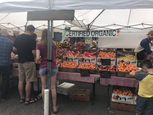 Magnolia Farmers Market by null