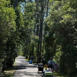 Gulf State Park - Walk to The Outpost