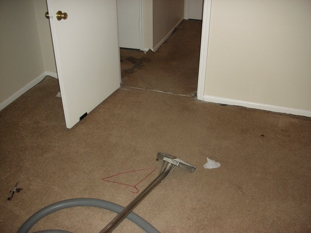 PEGASUS CARPET CARE Updated June 2024 35 Photos 26002 Mesa Oak Dr