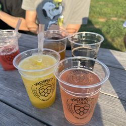 Prospect Point Brewing - Pink Lemonade Seltzer, Mango Slushie, Stawberry Slushie, Peach Sour