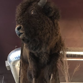 The Valkyrie - Buffalo... because every wine bar should have some bull! - Wine Bars Near Me - Independence, Oregon