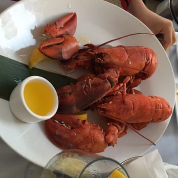 A Fish Called Avalon - Seafood Near Me - Miami Beach, Florida