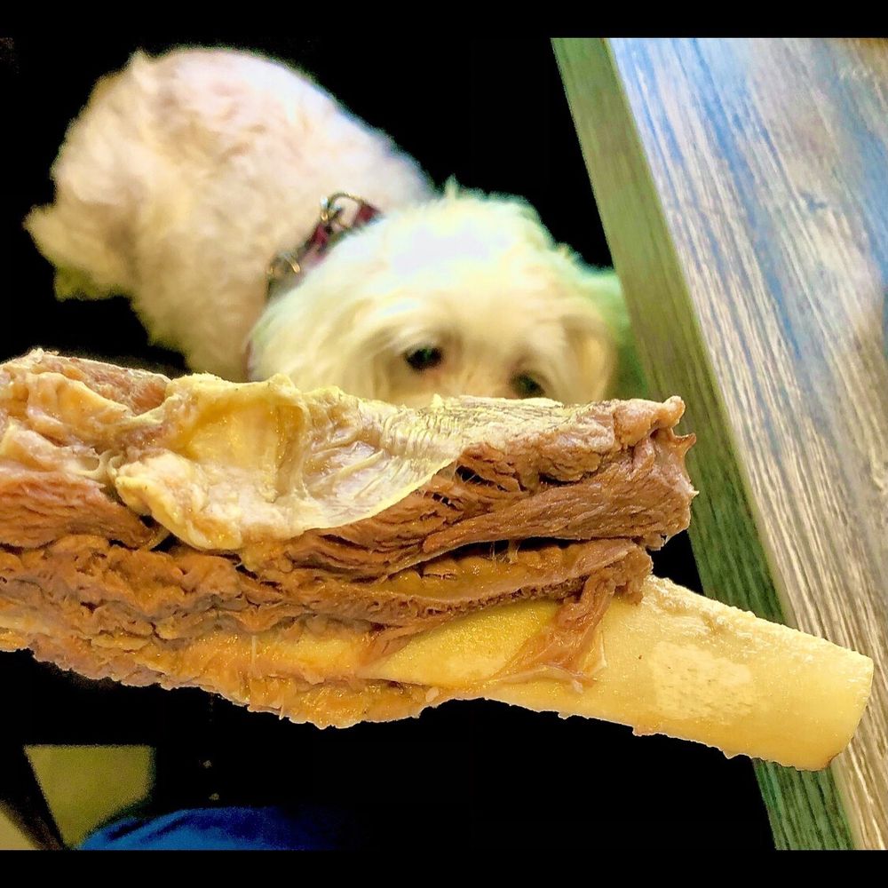Pho Leo & Grill - Beef Rib Bone for Fendi later - Vietnamese Near Me - San Diego, California