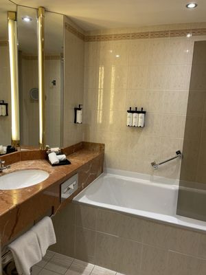 Sofitel Lyon Bellecour by null