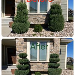 Royal Tree Service