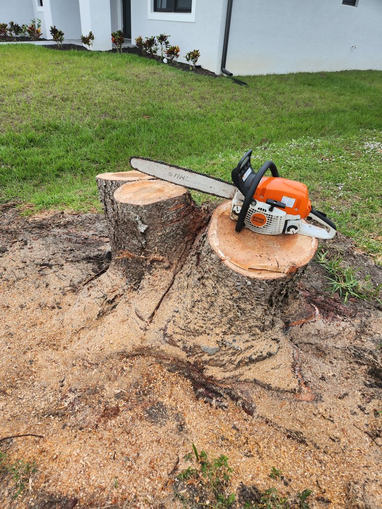 Slide of CHDO by Sunrise City