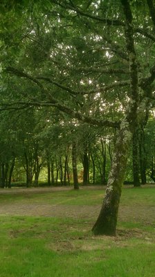 Parque de San Domingos de Bonaval by null