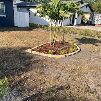 Affordable Property Preservation Services - Island triple Christmas Palm - Artificial Turf Near Me Affordable Property Preservation Services - Island triple Christmas Palm - Artificial Turf Near Me