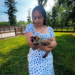 Goat Milk Stuff - Baby Goat