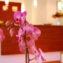 Hotel Campus Lounge
