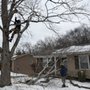 Photo of Guardado Tree Service