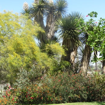 Desert Garden - Parks Near Me - San Diego, California