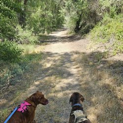 San Joaquin Wildlife Refuge Nature Trail