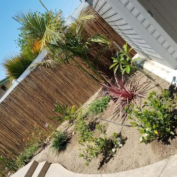 Moon Valley Nurseries - Tree Services Near Me - Chino, California