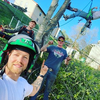 Jones Empire - Call today to schedule estimate - Tree Services Near Me - Dunbar, West Virginia Jones Empire - Call today to schedule estimate - Tree Services Near Me - Dunbar, West Virginia