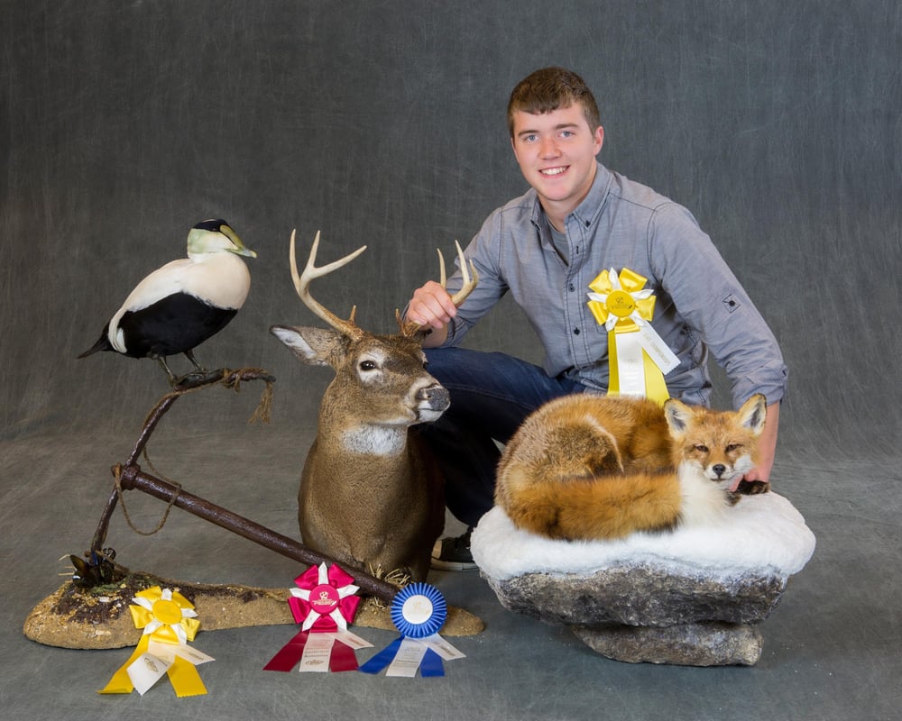 Little Stream Taxidermy - taxidermy in Lebanon, PA