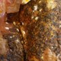 Photo of Longo's