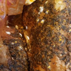 Longo's - Moldy turkey kit