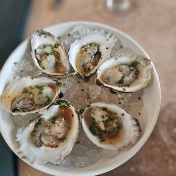 Paradiso - Gulf Oyster (tasted like Blue Points... De-Lish!!) - Bars Near Me - Dallas, Texas Paradiso - Gulf Oyster (tasted like Blue Points... De-Lish!!) - Bars Near Me - Dallas, Texas