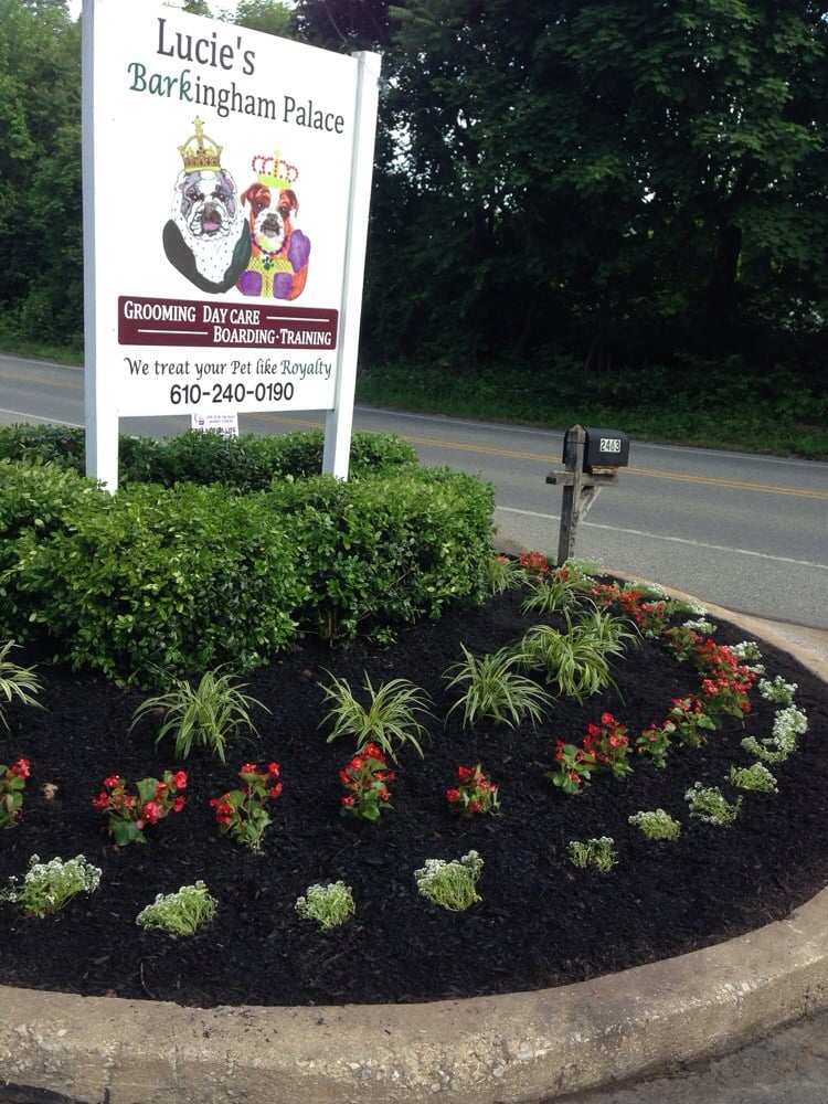 Lucie's Barkingham Palace - pet boarding facility in Malvern, PA