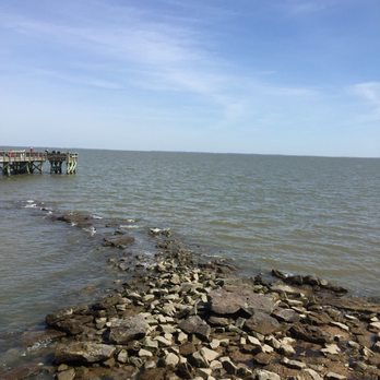 Downs Park and Dog Beach - Dog Parks Near Me - Pasadena, Maryland