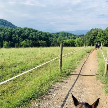 Jayell Ranch - Beautiful views - ATV Rentals/Tours Near Me - Sevierville, Tennessee Jayell Ranch - Beautiful views - ATV Rentals/Tours Near Me - Sevierville, Tennessee