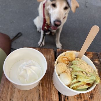 Indigo Cow - Ice Cream & Frozen Yogurt Near Me - Seattle, Washington