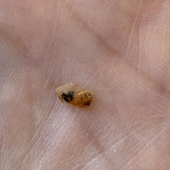 Merit Vegan Restaurant - Hard object found in food. - Vegetarian Near Me - Sunnyvale, California