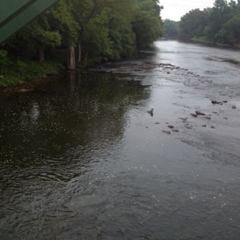 Nevius Street Bridge - Can't see him well but there is a Mrganser on the rock - Landmarks & Historical Buildings Near Me - Raritan, New Jersey Nevius Street Bridge - Can't see him well but there is a Mrganser on the rock - Landmarks & Historical Buildings Near Me - Raritan, New Jersey
