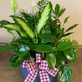 Linda's Flowers & More - Floral Designers Near Me - Kyle, Texas Linda's Flowers & More - Floral Designers Near Me - Kyle, Texas