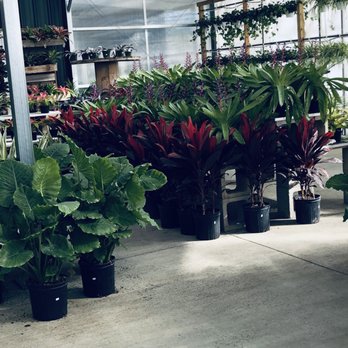 Good Earth - Farmers Market Near Me - Augusta, Georgia
