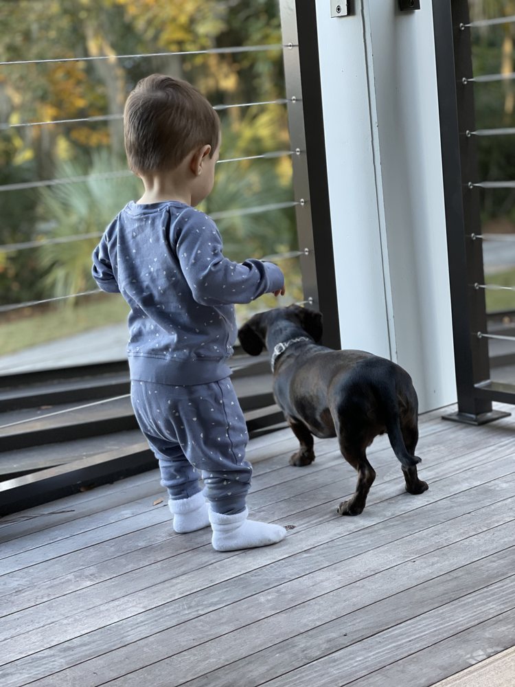 Guardian Angels Sitting Service - childcare center in Charleston, SC