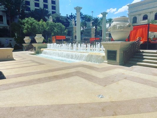 Venus Pool + Lounge by null