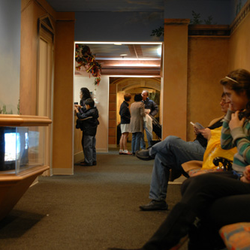 PDG Pediatric Dental Group