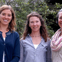 Photo of Boulder Community Acupuncture