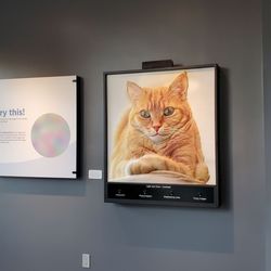 Interactive exhibits and displays