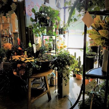 McNamara Florist - live plants 10-18 - Florists Near Me - Greenwood, Indiana