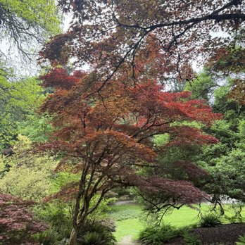 Washington Park Arboretum - Parks Near Me - Seattle, Washington