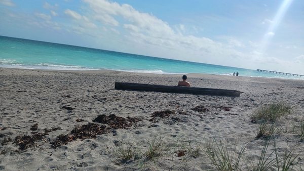 Jupiter Off-Leash Dog Beach by null