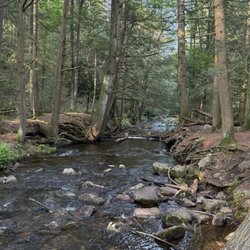 Hickory Run Camping