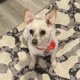 Pretty and happy girl!!