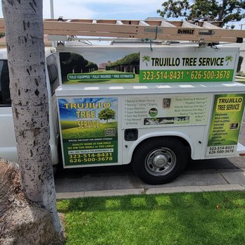 tree service - Tree Services Near Me tree service - Tree Services Near Me
