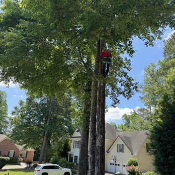 Southwest Tree Professionals - Tree Services Near Me - Marietta, Georgia Southwest Tree Professionals - Tree Services Near Me - Marietta, Georgia