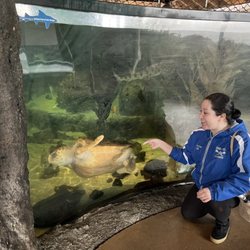 Living Coast Discovery Center - Sapphire