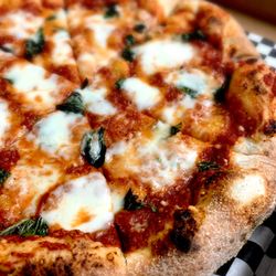 The Loggerhead - Pizza