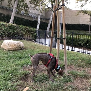 UTC Bark Park - Dog Parks Near Me - San Diego, California