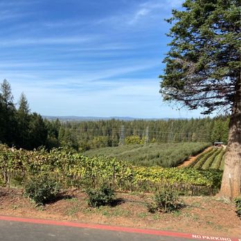 Delfino Farms - Vineyard and orchard - Farms Near Me - Camino, California Delfino Farms - Vineyard and orchard - Farms Near Me - Camino, California